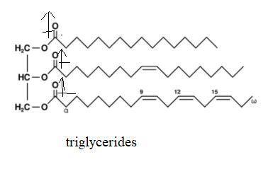 Consider the structures of vinegar and triglyceride and draw in any bond dipoles that exist in the m