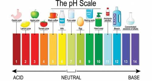 What type of a liquid will have a pH value equal to 12? (1 point)

Basic
Neutral
Strong acid
Weak ac