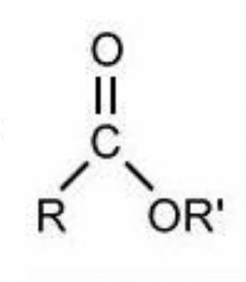 Which functional group is found in an ester?
