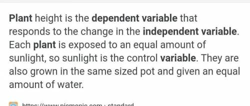 4. What effect does light have on plant growth?

Hypothesis:
Independent variable:
Dependent variabl