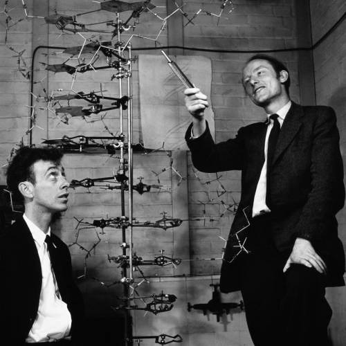 In , with the help of Rosalind Franklin,  discovered the structure of DNA.

A. 1915, Watson and Cric