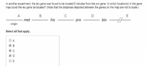 In another experiment, the leu gene was found to be located 5 minutes from the pro gene. In which lo