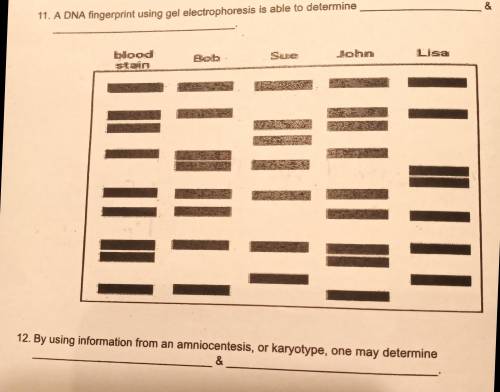 A DNA fingerprint using gel electrophoresis is able to determine what two things? I also need help w