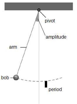 Which of the variables listed (arm length and amplitude) above do you predict will affect the pendul