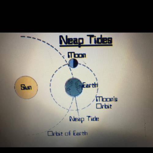 Urgent!!?? The diagram shows The position of the sun, moon and earth during neap tide. What moon pha