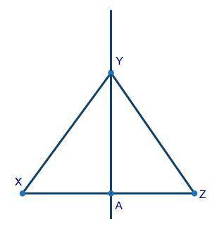 If ΔXYZ is dilated by a scale factor of 3 about point Y, which of the following is true about a line