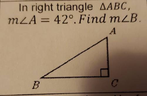 In right triangle ABC,M<A = 42º. Find m<B.