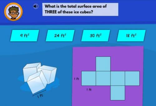What is the total surface area.