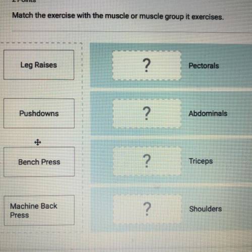 Match the exercise with the muscle or muscle group it exercises. Leg Raises Pectorals Pectordis Push