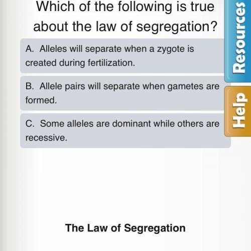 Which of the following is true about the law of segregation?