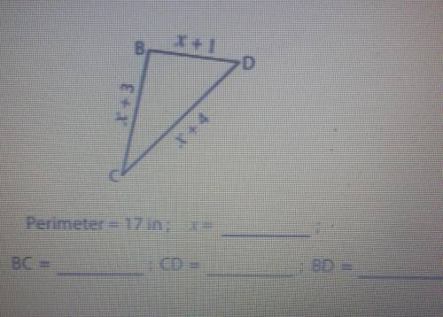 Can someone please help me with this? thank u so much