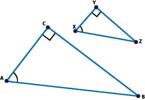 Triangle XYZ was dilated by a scale factor of 2 to create triangle ACB and sin ∠X = . Part A: Use co