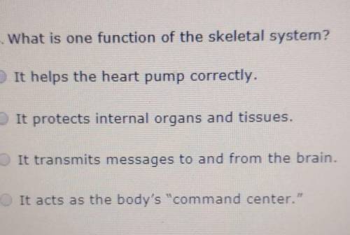 What is one function of the Skeletal system?A. It helps the heart pump correctly.B. It Protects Inte