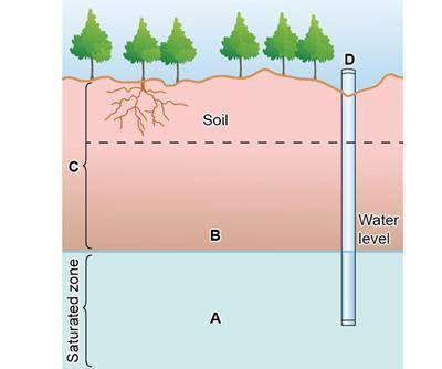 Which part of this diagram shows the place that has both air and water? Label A Label B Label C Labe