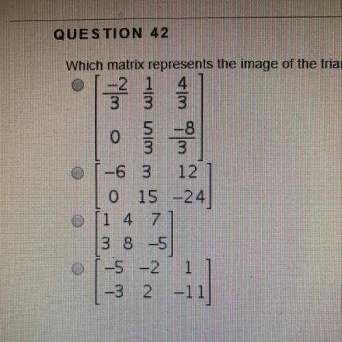 Which matrix represents the image of the triangle with vertices at (-2,0), (1,5), and (4, -8) When d