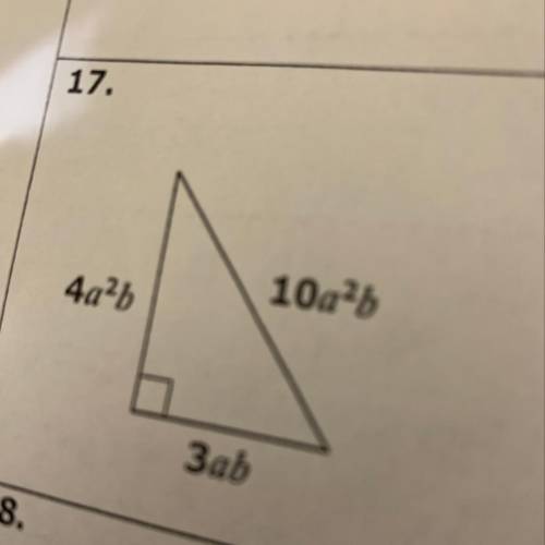 Can some one explain how to find the perimeter and the area of this?