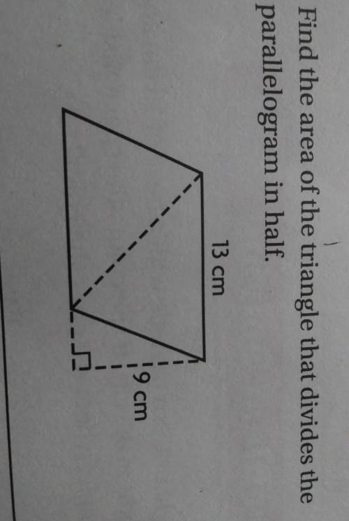 Find the area of the triangle that divides the parallelogram in half.
