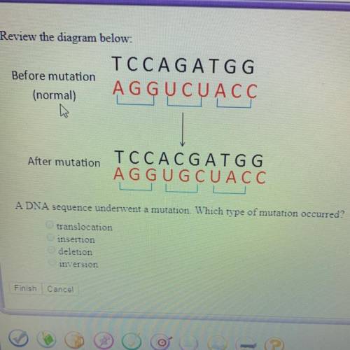 A. Translocations  B. Insertion C. Deletion D. Inversion