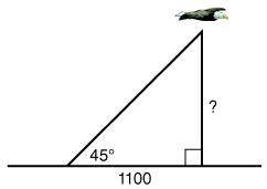 Which equation would you use to find how high the bird is flying?  tan45° = 1100 over xcos45° = 1100