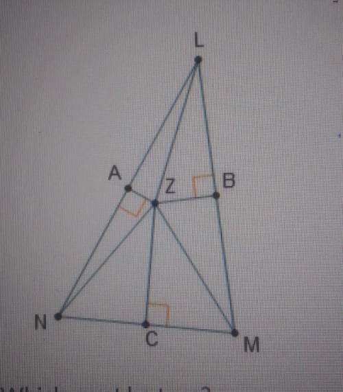 Point Z is the circumcenter of ALMN.Which must be true?NCBZ<BMZ = CMZ<ZBM = <ZCMAN=LB