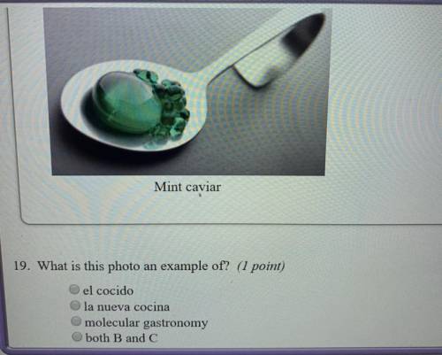 Mint caviar 19. What is this photo an example of? el cocido la nueva cocina molecular gastronomy bot