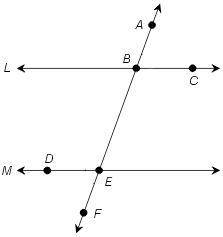 If line L is parallel to line M, what is true about angle ABC and angle DEF? A) They are obtuse.  B)