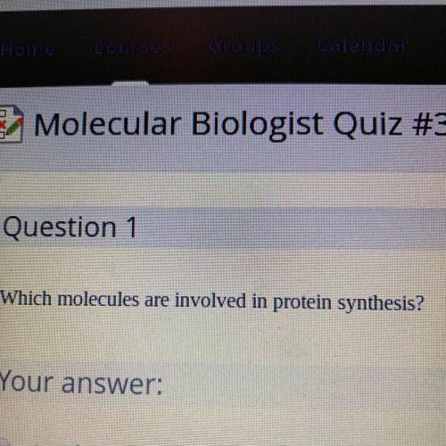 Which molecules are involved in protein synthesis