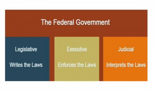 The chart above demonstrates which principle established by the U.S. Constitution? Select one: A. se