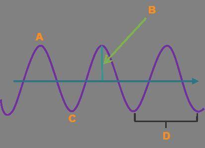 Label the parts of the transverse wave. Amplitude:  Crest :  Trough:  Wavelength: