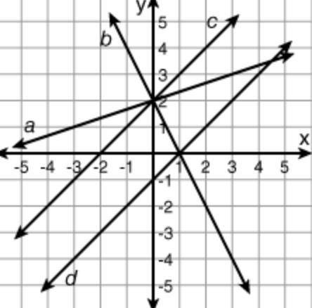 Which line is the graph of y = -2 x + 2? line a line b line c line d