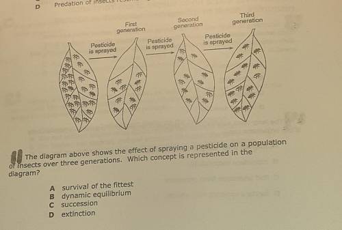 The diagram above shows the effect of spraying a pesticide on a populationof insects over three gene
