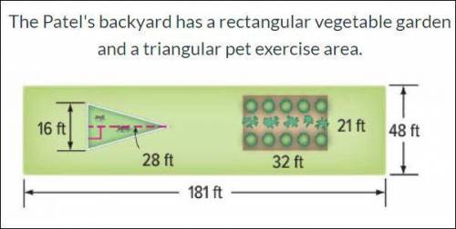 How much of the backyard is NOT being used for a vegetable garden or pet exercise area?