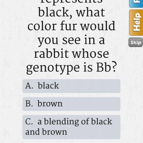 If B represents brown b represents black, what color fur would you see in a rabbit whose genotype is