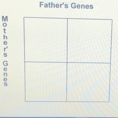 (worth lots of points) FIRST PART: Using T for tall and t for short:  Cross a heterozygous male with