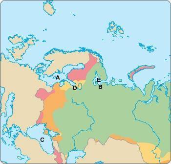 Where is the port of St. Petersburg that Peter the Great established? A B C D