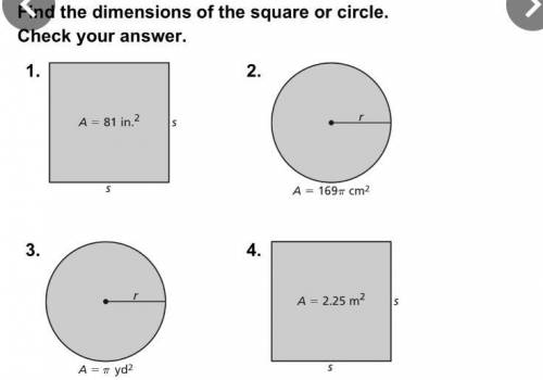 Can somebody help me with all four?