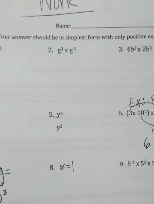 Simplify. Your answer should be in simplest form with only positive exponents.help me on 2,3,5