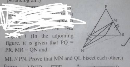 Please Help me with this question