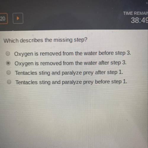 Xavier listed the steps involved when sponges take in food and oxygen. 1. Water is drawn in through