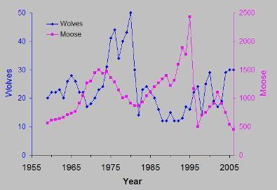 The populations of wolves and moose in Isle Royale National Park, Michigan have been observed to und