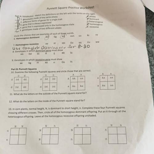 Pls help with 7-13 I don’t need any work shown