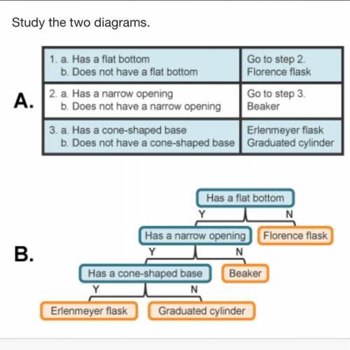 Which statement can be made about these two diagrams? Diagram A is a dichotomous key, but Diagram B
