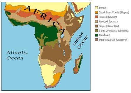According to the map, along the Indian Ocean, the climates in Sub-Saharan Africa are mainly A) deser
