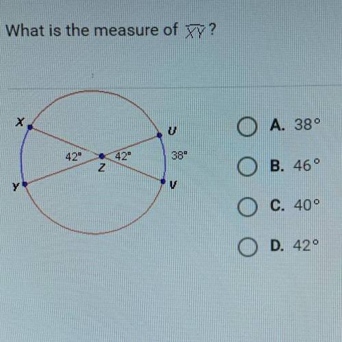 What is the measure of XY?