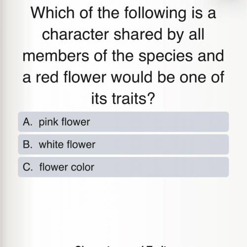 Which of the following is a character shared by all members of the species and a red flower would be