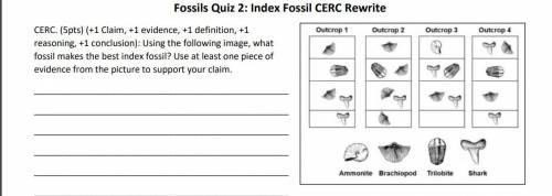 What is the best index fossil? (I don't need a full CERC.)