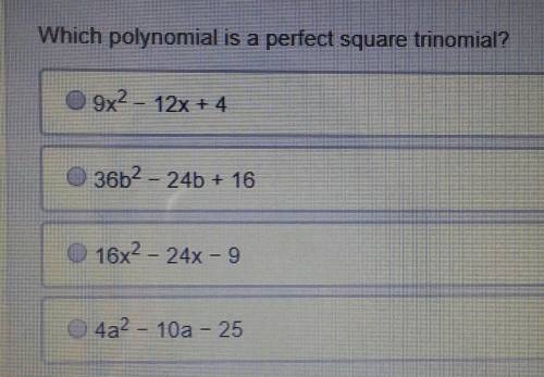 Which polynomial is a perfect square trinomial?