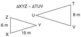 The triangles are similar isosceles triangles. What is the perimeter of ΔTUV?20 m24 m32 m48 m
