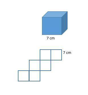 Use the net to find the surface area of the cube. A) 84 cm2  B) 168 cm2  C) 245 cm2  D) 294 cm2