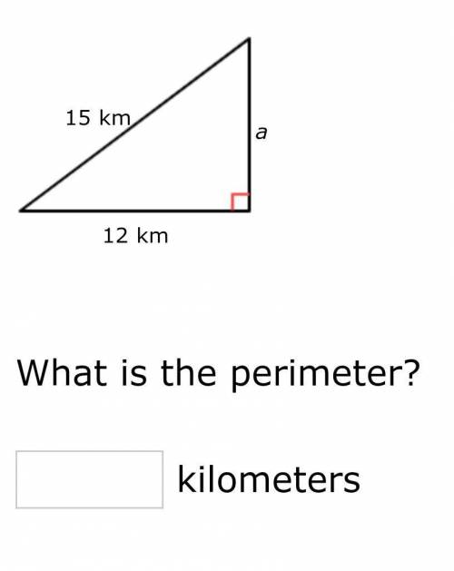 What is the perimeter of this triangle ⬆️